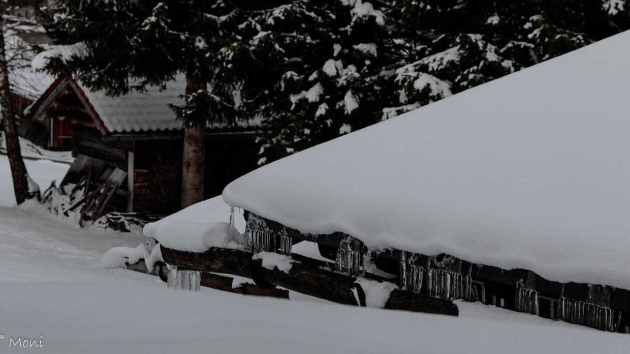 Haus Timmler Lejlighed St Anton am Arlberg Eksteriør billede