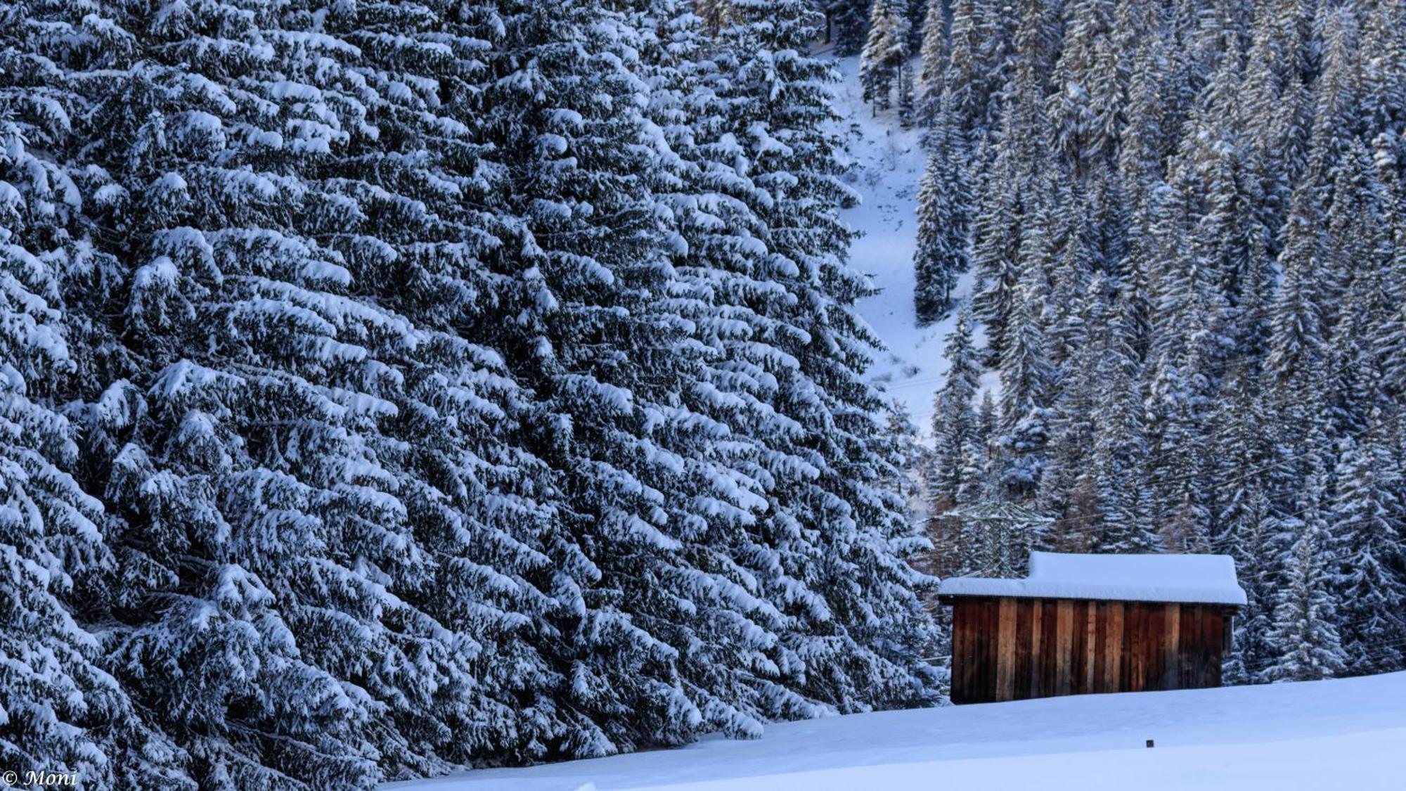 Haus Timmler Lejlighed St Anton am Arlberg Eksteriør billede