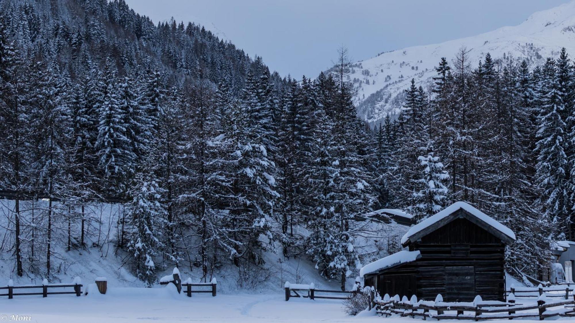 Haus Timmler Lejlighed St Anton am Arlberg Eksteriør billede